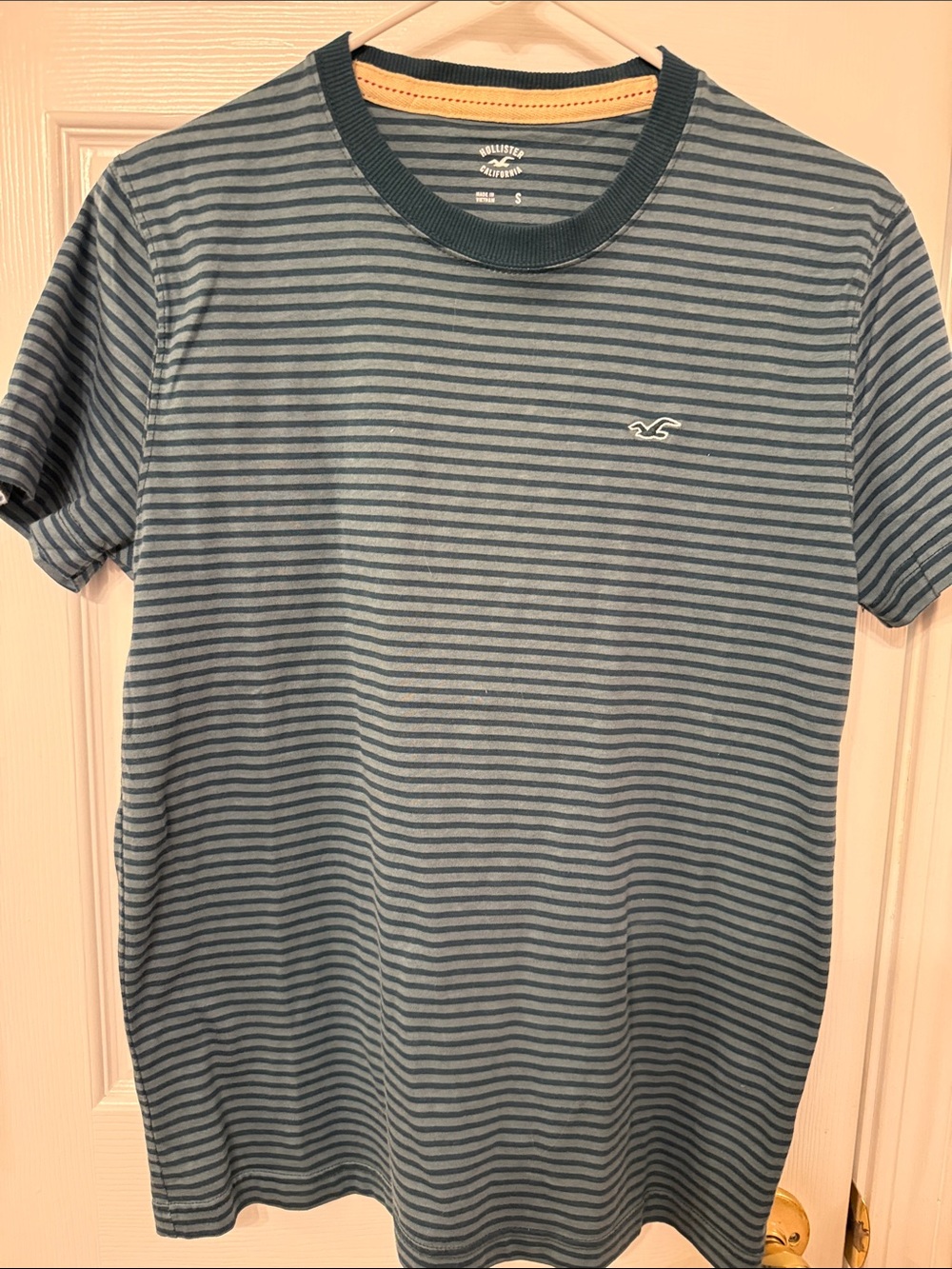 Hollister Men's Teal and Dark Teal Striped Crew Neck Tee